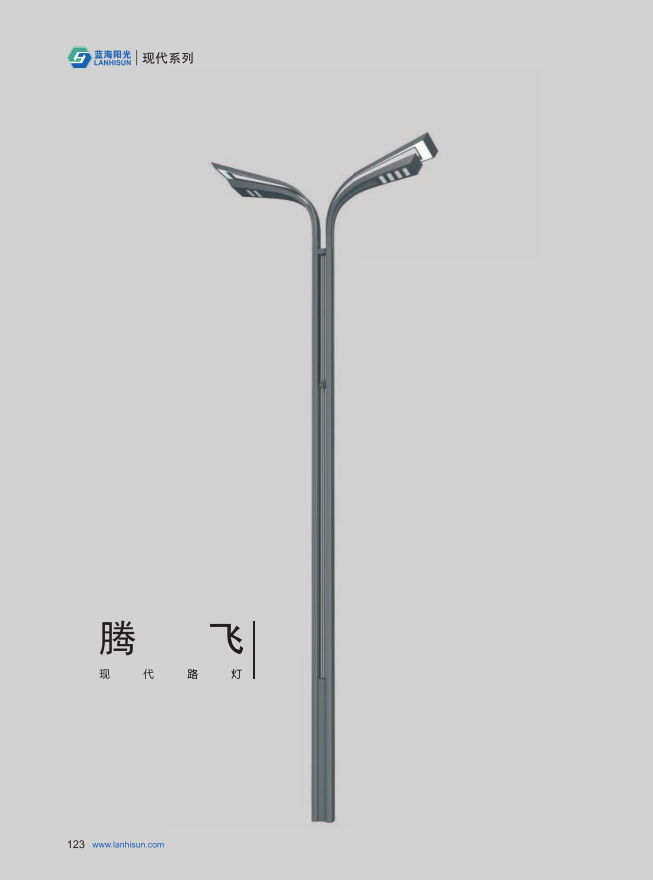 青島即墨區(qū)可以設(shè)計定制現(xiàn)代LED路燈-月季騰飛